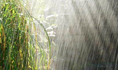 如何健康度過(guò)多雨季節(jié)？陜西千秋電子治療儀