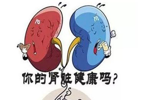 生活中如何保護腎臟